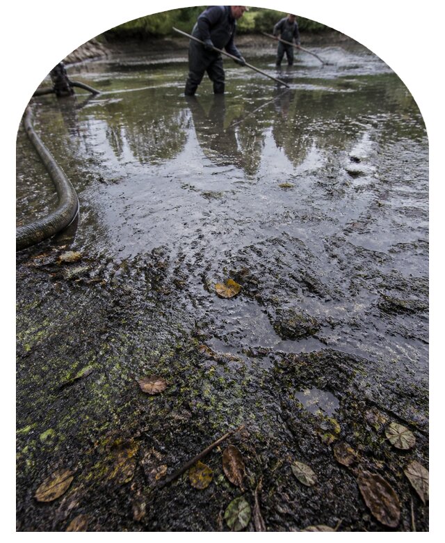 Очистка пруда в Минусинске от ила мусора и водорослей с вывозом